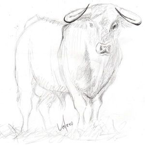 Meet your Posher, Paul